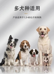 電擊項圈與止吠器 科學(xué)應(yīng)對寵物吠叫的正確選擇